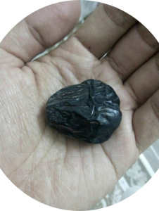 Kurma Ajwa siap kirim ke Kepulauan Sula